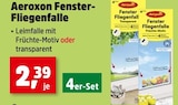 Fenster-Fliegenfalle von Aeroxon im aktuellen Thomas Philipps Prospekt