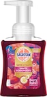 Schaumhandseife Berry Rebel von Sagrotan im aktuellen dm-drogerie markt Prospekt