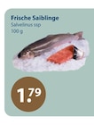 Frische Saiblinge von  im aktuellen V-Markt Prospekt für 1,79 €