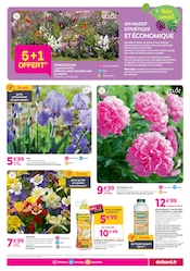 Promos Algoflash dans le catalogue "Chez nous les bonnes affaires c'est toute l'année" de Delbard à la page 3