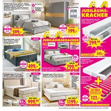 Boxspringbett im aktuellen SB Möbel Boss Prospekt (Köln) Boxspringbett im SB Möbel Boss Prospekt "Wir feiern Jubiläum!" mit 12 Seiten (Köln)