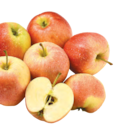 Apfel Gala bei Netto mit dem Scottie im Ahrensburg Prospekt für 1,99 €