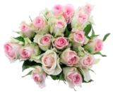 Moosrosen Angebote bei EDEKA Kiel für 2,99 €