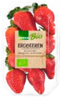 Kultur-Heidelbeeren Angebote von EDEKA Bio bei Marktkauf Cuxhaven für 2,49 €