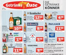 Bier im aktuellen Getränke Oase Prospekt (Soest) Bier im Getränke Oase Prospekt "Aktuelle Angebote" mit 1 Seiten (Soest)