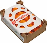 WEZ Bad Oeynhausen Prospekt mit  im Angebot für 3,49 €