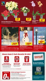 Aktueller toom Baumarkt Prospekt mit Stauden, "Respekt, wer's selber macht.", Seite 2