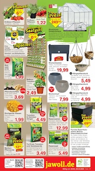 Kartoffeln im Jawoll Prospekt "Sonderposten-Märkte" mit 16 Seiten (Bergisch Gladbach)