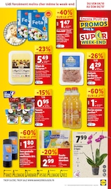 Catalogue Lidl en cours à Angers, "À vos marques à prix Lidl", Page 39