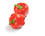 Lidl - Rote Paprika, lose Angebot im Prospekt Rote Paprika, lose bei Lidl im Prospekt "" für 2,29 €