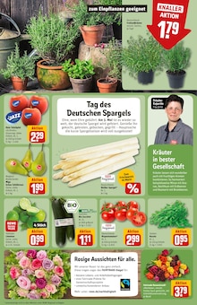 Tomaten im REWE Prospekt "Dein Markt" mit 39 Seiten (Bonn)
