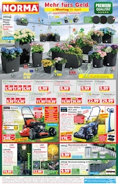 Aktueller Norma Discounter Prospekt in Sülzetal und Umgebung, "Mehr fürs Geld" mit 21 Seiten, 13.04.2026 - 18.04.2026