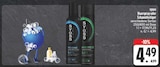 Haarspray bei EDEKA im Dörzbach Prospekt für 4,49 €