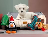 Hundespielzeug von Woolworth für 2,50 € bei Woolworth im Angebot Hundespielzeug von Woolworth im aktuellen Woolworth Prospekt