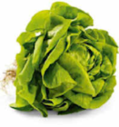 Kopfsalat mit Wurzel Angebote bei Netto Marken-Discount Hagen für 1,00 €