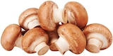 Braune Bio Champignons Angebote von REWE Bio bei REWE Heidenheim für 1,79 €