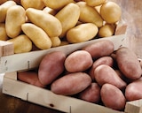 Intermarché Contact Vernet-les-Bains - Promo Pommes de terre de consommation à chair ferme Promo Pommes de terre de consommation à chair ferme à 1,69 € dans le catalogue Intermarché Contact à Vernet-les-Bains