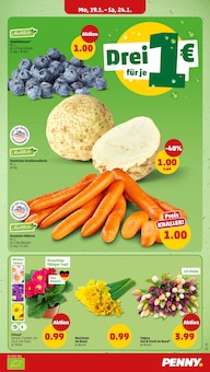 Blumen im Penny Prospekt "Wer günstig will, muss Penny." mit 42 Seiten (Nürnberg)