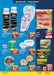 Stauden im Netto Marken-Discount Prospekt in Ettlingen Aktueller Netto Marken-Discount Prospekt mit Stauden, "Aktuelle Angebote", Seite 6
