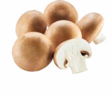 Champignon braun im Angebot bei Netto Marken-Discount in Karlsruhe Champignon braun Angebote bei Netto Marken-Discount Karlsruhe für 1,69 €