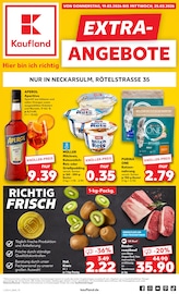Aktueller Kaufland Supermarkt Prospekt in Neckarsulm und Umgebung, "EXTRA-ANGEBOTE" mit 8 Seiten, 19.03.2026 - 25.03.2026