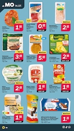 Mango Angebot im aktuellen Netto mit dem Scottie Prospekt auf Seite 8
