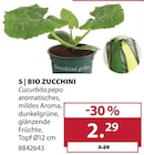 Aktuelles Bio Zucchini Angebot bei Dehner Garten-Center in Nürnberg ab 2,29 €