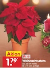 Weihnachtsstern im Angebot bei Netto Marken-Discount in St. Ingbert Weihnachtsstern Angebote bei Netto Marken-Discount St. Ingbert für 1,79 €