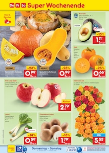 Pflanzen im Netto Marken-Discount Prospekt "Aktuelle Angebote" mit 70 Seiten (Bremen)