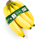 Bio Bananen im Angebot bei Netto Marken-Discount in Ravensburg Bio Bananen Angebote von BioBio bei Netto Marken-Discount Ravensburg für 1,99 €