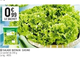 Salade batavia - CASINO en promo chez Spar Ajaccio à 0,99 €