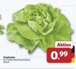 Aktuelle Gemüse Angebote bei famila Nordwest in Oldenburg Aktuelles Kopfsalat Angebot bei famila Nordwest in Oldenburg ab 0,99 €