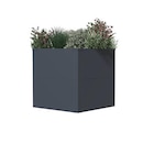 Aktuelles Westmann Pflanzkasten Talus Angebot bei POCO in Wuppertal ab 129,99 €