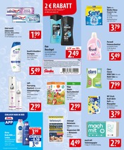 Aktueller famila Nordost Prospekt mit Nivea, "besser als gut!", Seite 17