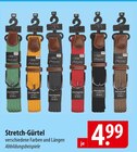 Stretch-Gürtel Angebote bei famila Nordost Gifhorn für 4,99 €