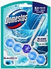 WC-Stein Power 5 im Angebot bei Kaufland in Osnabrück WC-Stein Power 5 Angebote von Domestos bei Kaufland Osnabrück für 1,00 €