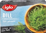 Netto Marken-Discount - Kräuter Angebot im Prospekt Kräuter bei Netto Marken-Discount im Prospekt "" für 1,00 €