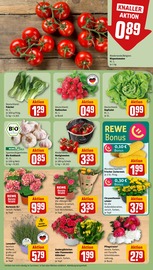 Blumen im REWE Prospekt in Gera Aktueller REWE Prospekt mit Blumen, "Dein Markt", Seite 7