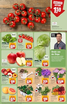 Tomaten im REWE Prospekt "Dein Markt" mit 34 Seiten (Ludwigshafen (Rhein))