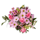 Lidl Gailingen (Rhein) Prospekt mit  im Angebot für 9,99 €