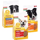 SUR TOUTES LES CROQUETTES POUR CHIEN - CARREFOUR COMPANINO VITALIVE - Carrefour Market à Caen SUR TOUTES LES CROQUETTES POUR CHIEN - CARREFOUR COMPANINO VITALIVE en promo chez Carrefour Market Caen