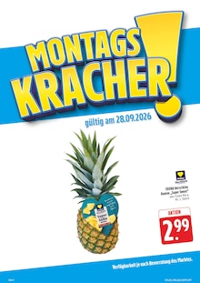 Ananas im E center Prospekt "Wir lieben Lebensmittel!" mit 40 Seiten (Nürnberg)