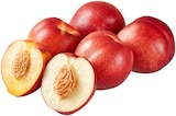 REWE - Gelbfleischige Nektarinen Angebot im Prospekt Gelbfleischige Nektarinen bei REWE im Prospekt "" für 1,59 €