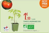 Tomate Marmande Bio à Botanic dans Thonon-les-Bains Tomate Marmande Bio à Botanic dans Thonon-les-Bains