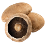 Portabella Angebote bei REWE Pulheim für 2,79 €