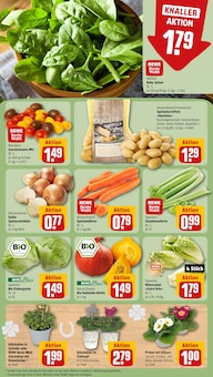 Kürbis im REWE Prospekt "Dein Markt" mit 18 Seiten (Leipzig)