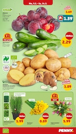 Aktueller Penny Prospekt mit Blumen, "Wer günstig will, muss Penny.", Seite 3