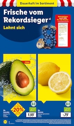 Lidl Obst im Prospekt 