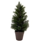 Sapin de Noël - Action - Action à Tours Sapin de Noël - Action en promo chez Action Tours à 5,95 €