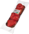 Bio-Paprika rot im Angebot bei tegut in Gotha Bio-Paprika rot Angebote von Bioland bei tegut Gotha für 2,99 €